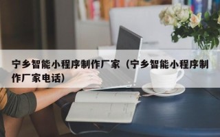 阜宁宁乡智能小程序制作厂家（宁乡智能小程序制作厂家电话）