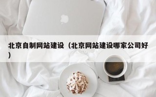 阜宁北京自制网站建设（北京网站建设哪家公司好）